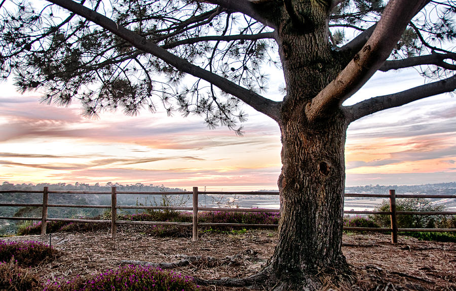 Carmel Valley Sunset View - San Diego - California Photograph by Bruce Friedman