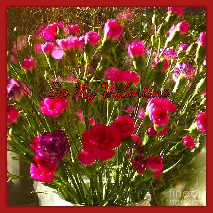 Carnations Valentines Greeting 2 Photograph by Joan-Violet Stretch
