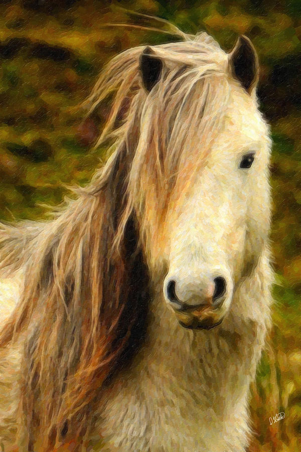 Carneddau Pony Painting by Dean Wittle