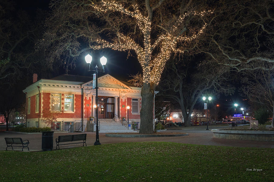 Landscape Photograph - Carnegie Library January 2014 by Tim Bryan