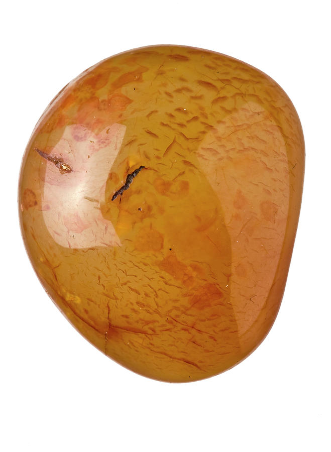Agate Photograph - Carnelian Gemstone by Natural History Museum, London/science Photo Library