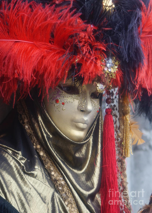 Carnevale di Venezia 126 Photograph by Rudi Prott