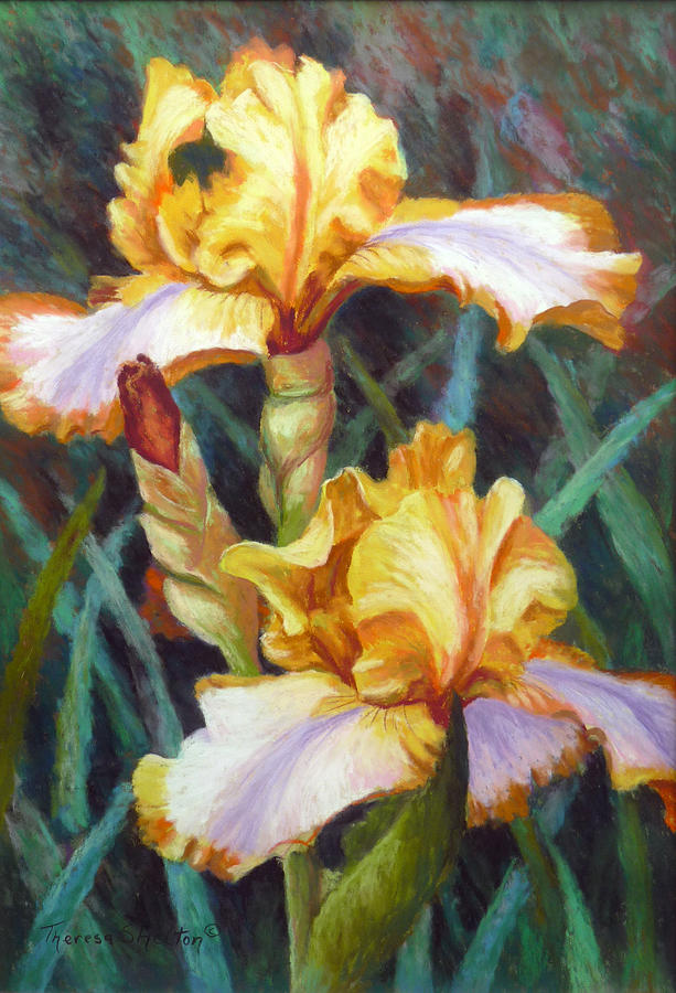 Carnival Iris Pastel by Theresa Shelton - Fine Art America