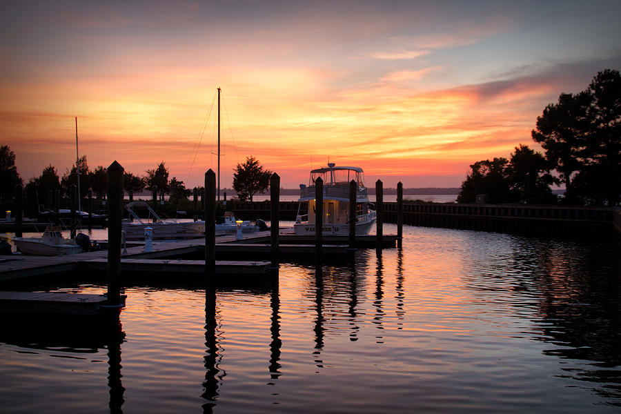 Carolina Beach State Park Sunset Photograph by Phil Mancuso