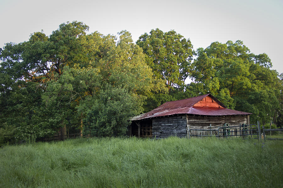 Cleveland County Photograph - Carolina Horse Barn by Ben Shields