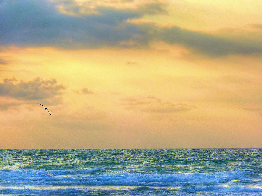 Beach Photograph - Carolina Morning by JC Findley