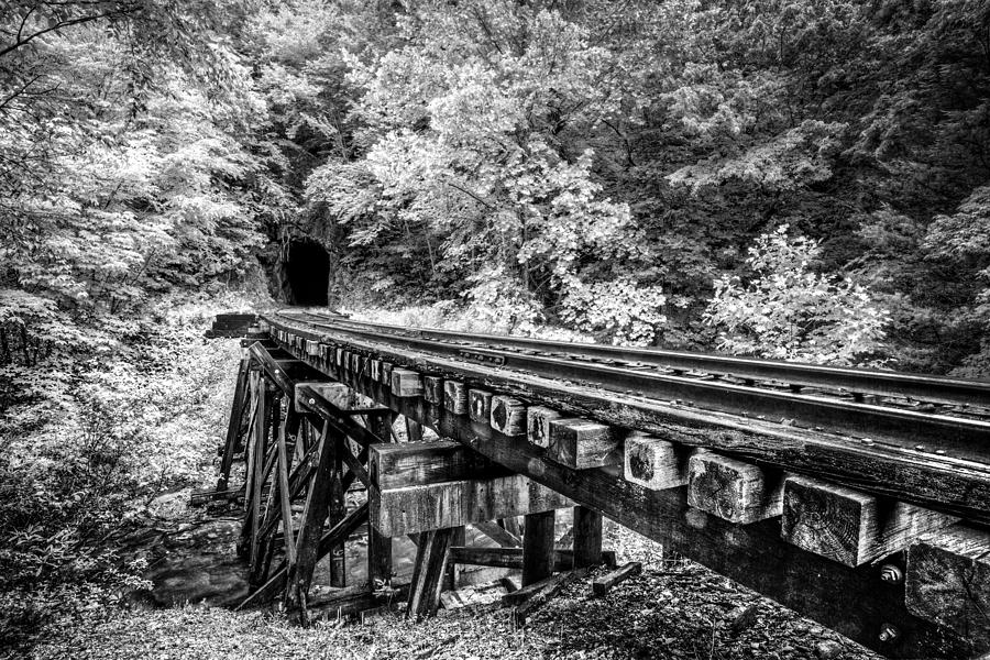 Carolina Railroad Trestle in Black and White Photograph by Debra and ...