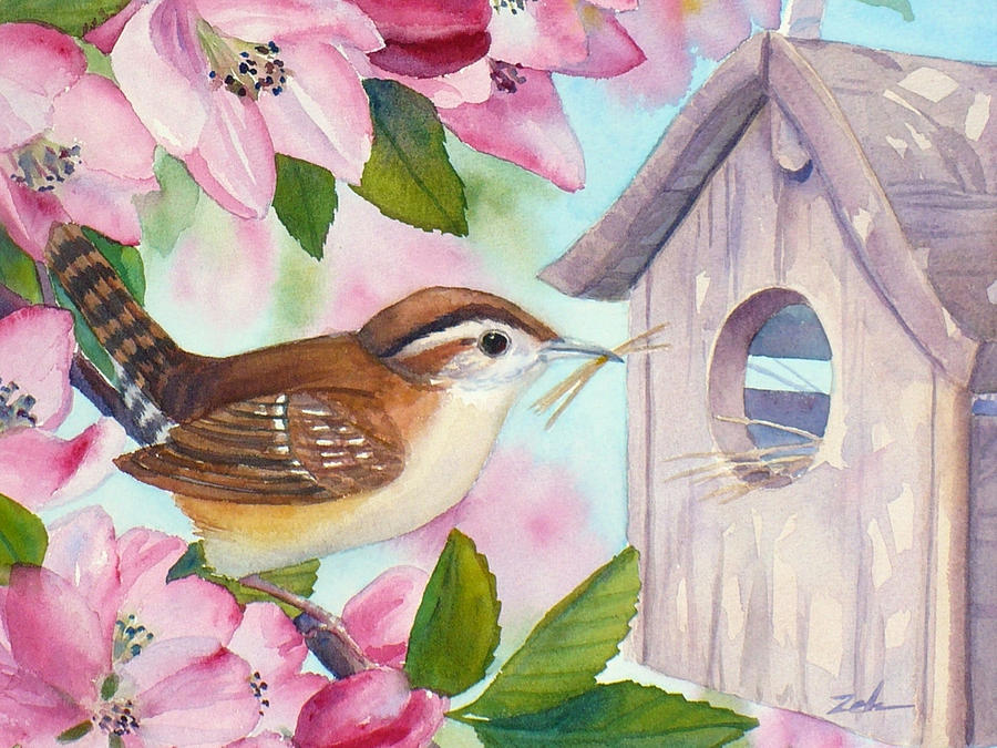 Carolina Wren in Springtime Painting by Janet Zeh