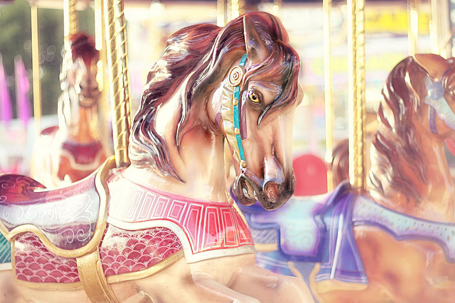 Horse Photograph - Carousel  by Amy Tyler