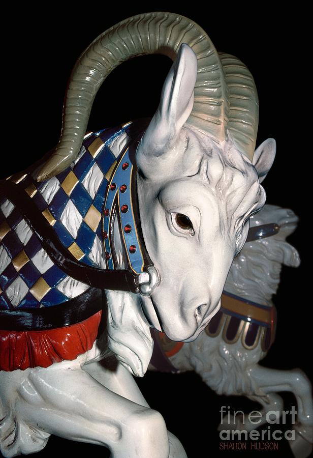 carousel animals prints  - Carousel Goats Photograph by Sharon Hudson