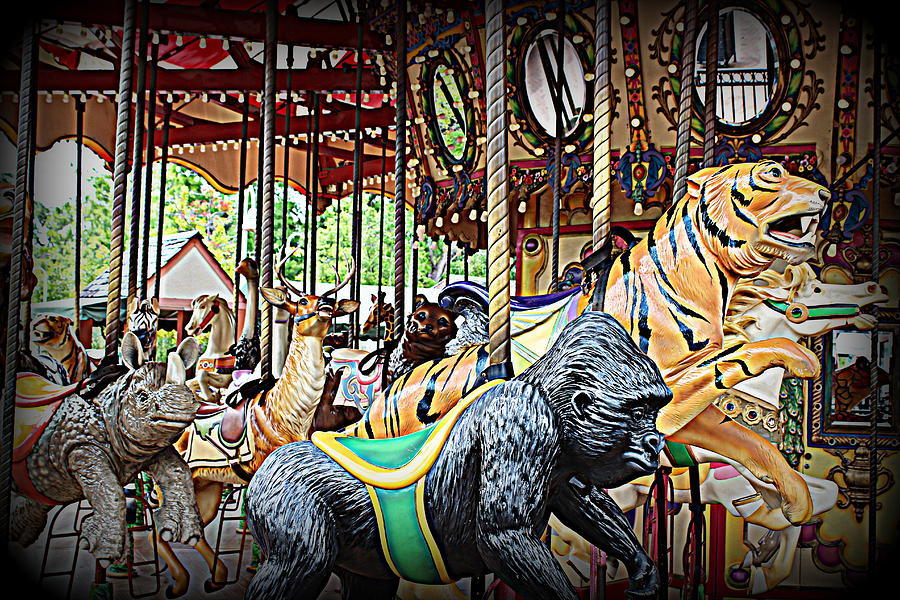 Carousel Photograph by Beth Vincent