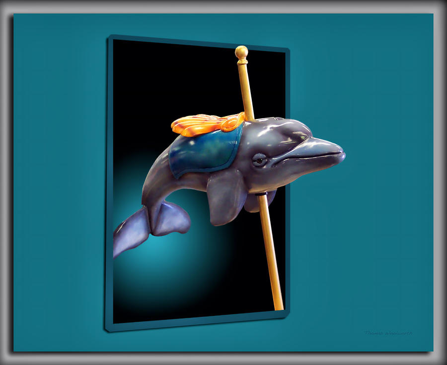 Knight Photograph - Carousel Dolphin by Thomas Woolworth