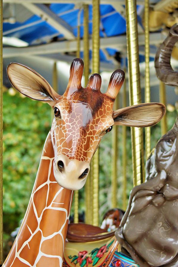 Carousel Giraffe Photograph by Jean Goodwin Brooks