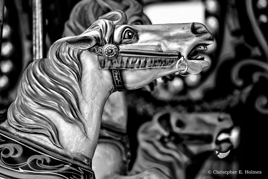 Carousel Horse - BW Photograph by Christopher Holmes