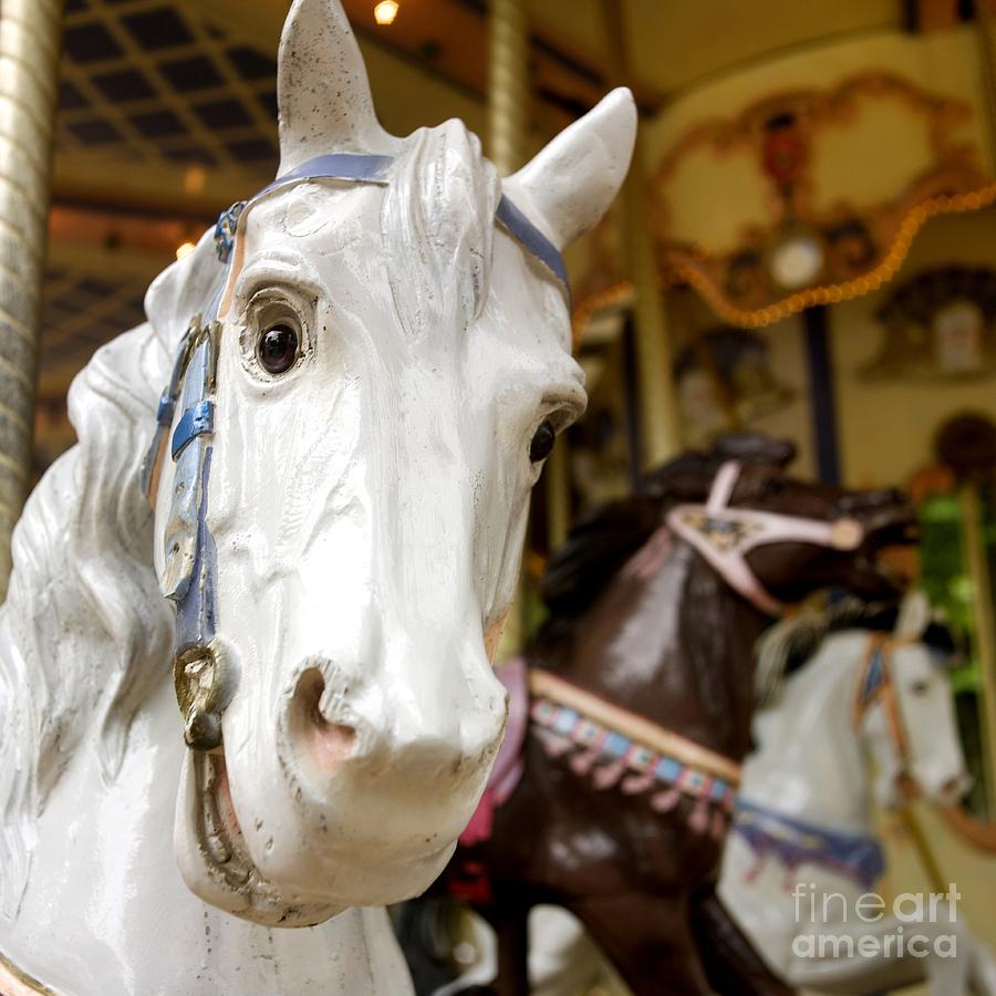 Horse Photograph - Carousel horse by Bernard Jaubert
