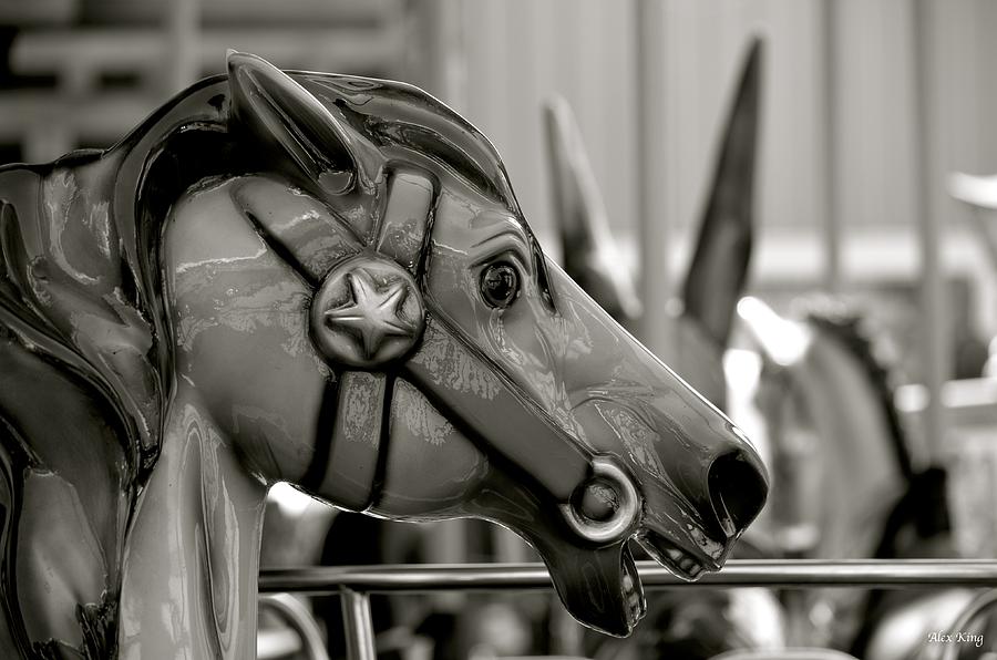 Carousel horse in Black and White Photograph by Alex King