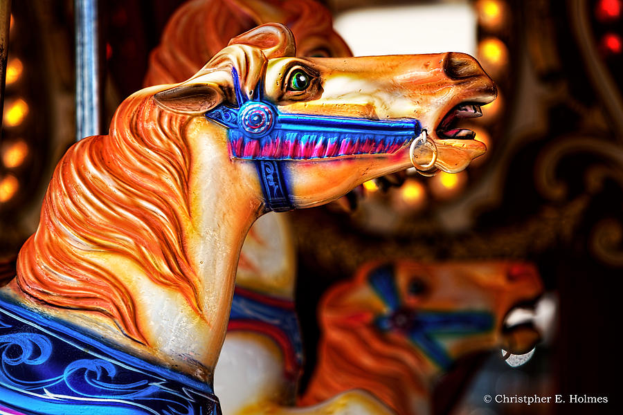 Carousel Horse Photograph by Christopher Holmes