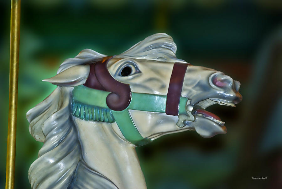 Knight Photograph - Carousel Horse Green Bridle by Thomas Woolworth