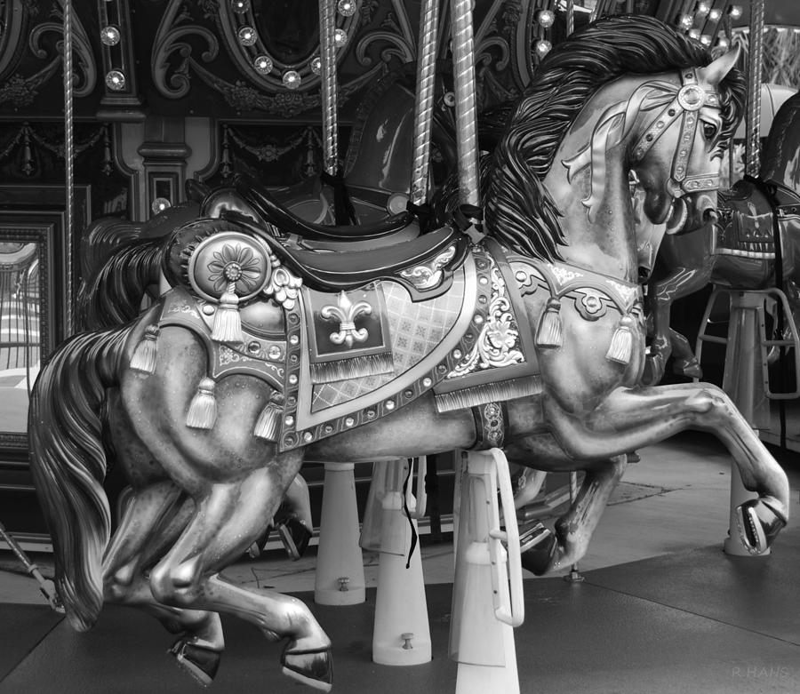 Carousel Horse In Black And White Photograph