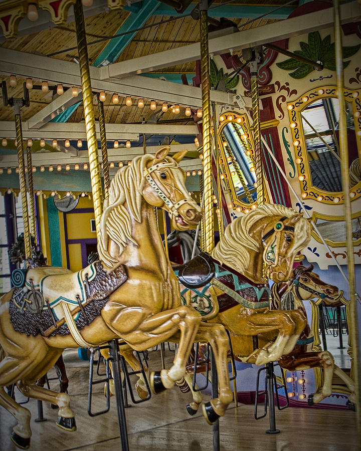 Horse Photograph - Carousel Horse in Fort Edmonton Park by Randall Nyhof