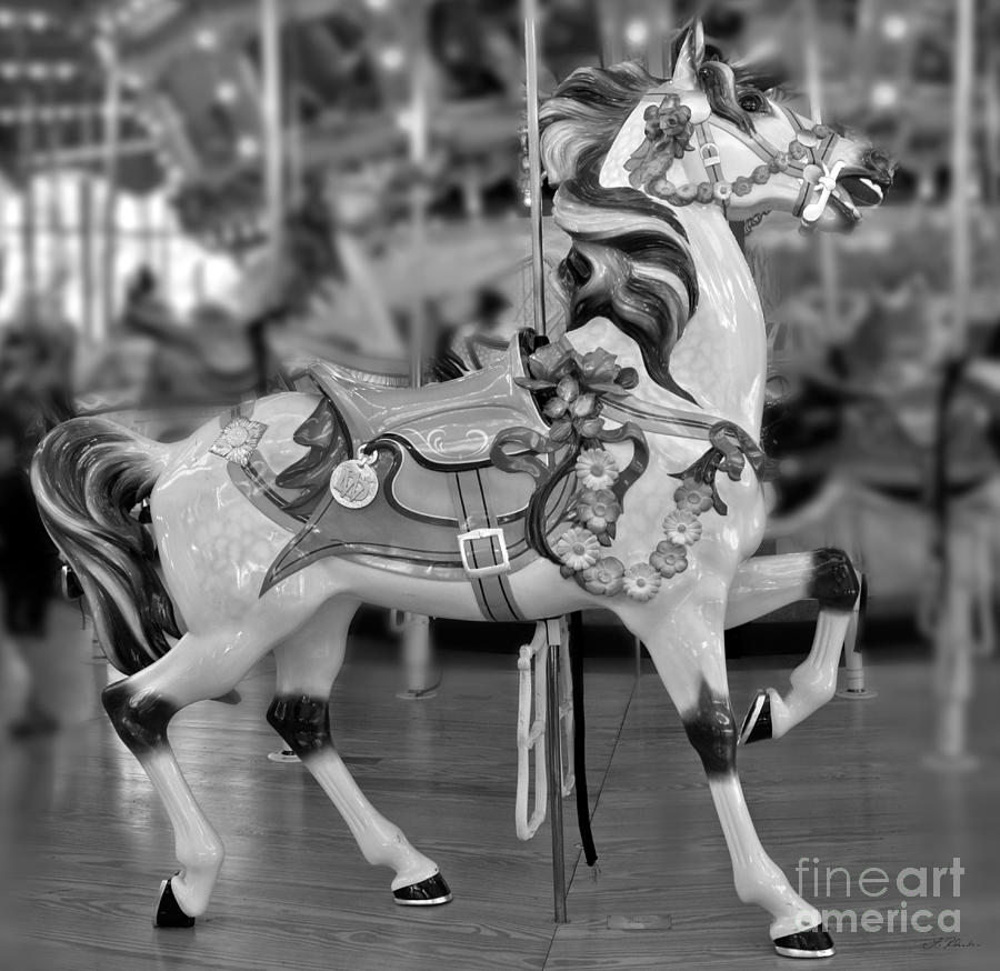 Horse Photograph - Carousel Horse by Iris Richardson