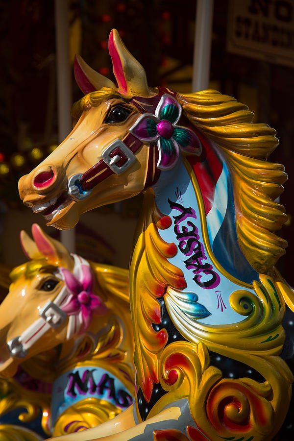 Carousel Horse London Photograph by Allan Morrison