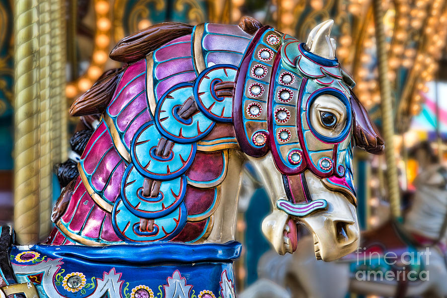 Carousel Horse Photograph - Carousel Horse by Mimi Ditchie