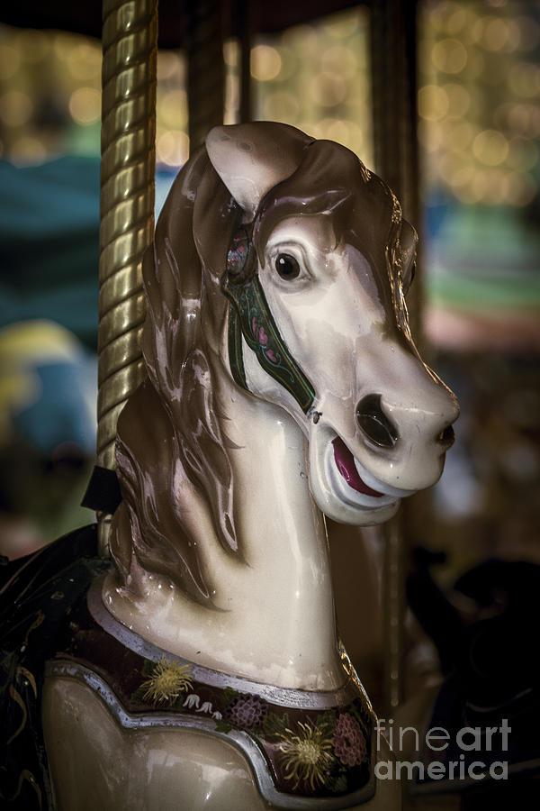 Carousel Horse Portrait Photograph by Sonya Lang