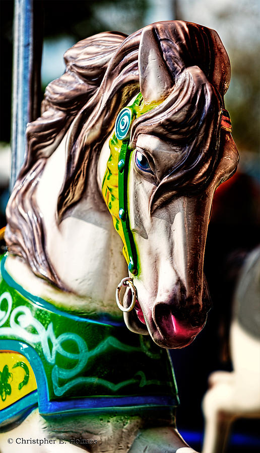 Carousel Horse Two Photograph by Christopher Holmes
