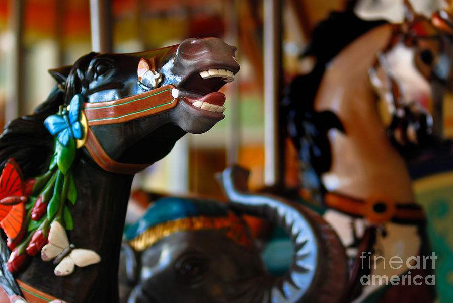Horse Photograph - Carousel Horses by Amy Cicconi