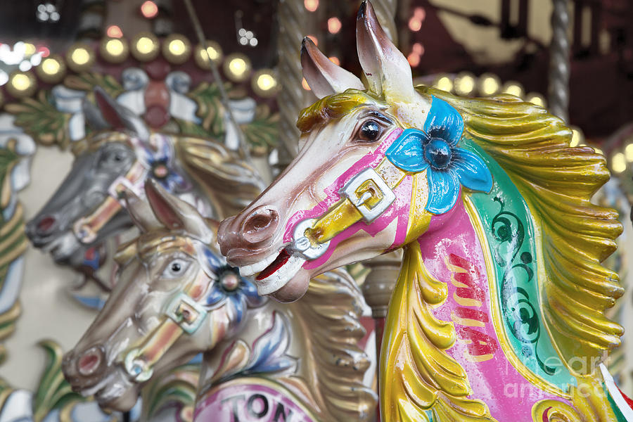 Carousel horses Photograph by Jane Rix