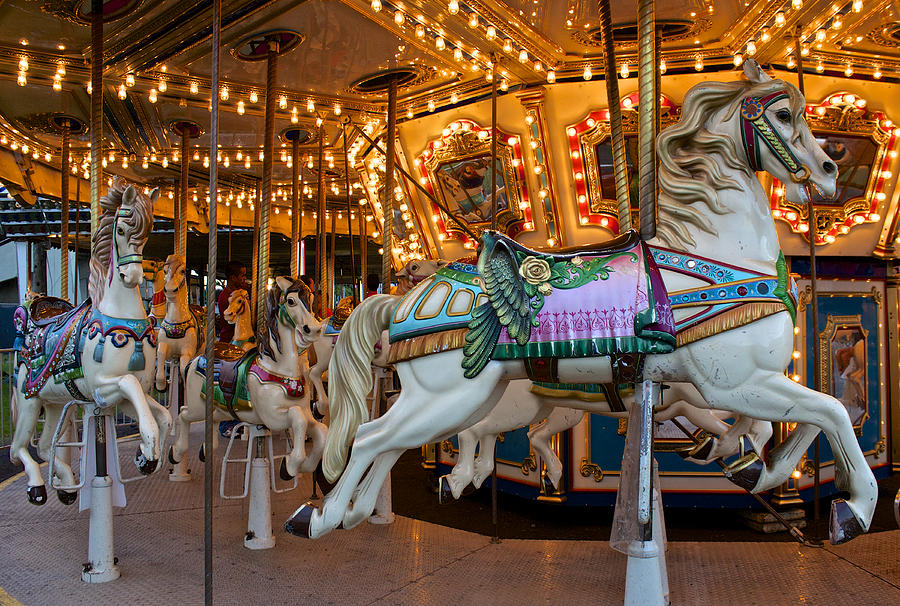 Carousel Horses Photograph by Venetia Featherstone-Witty - Fine Art America