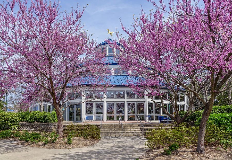 Spring Photograph - Carousel in Coolidge Park by Tom and Pat Cory