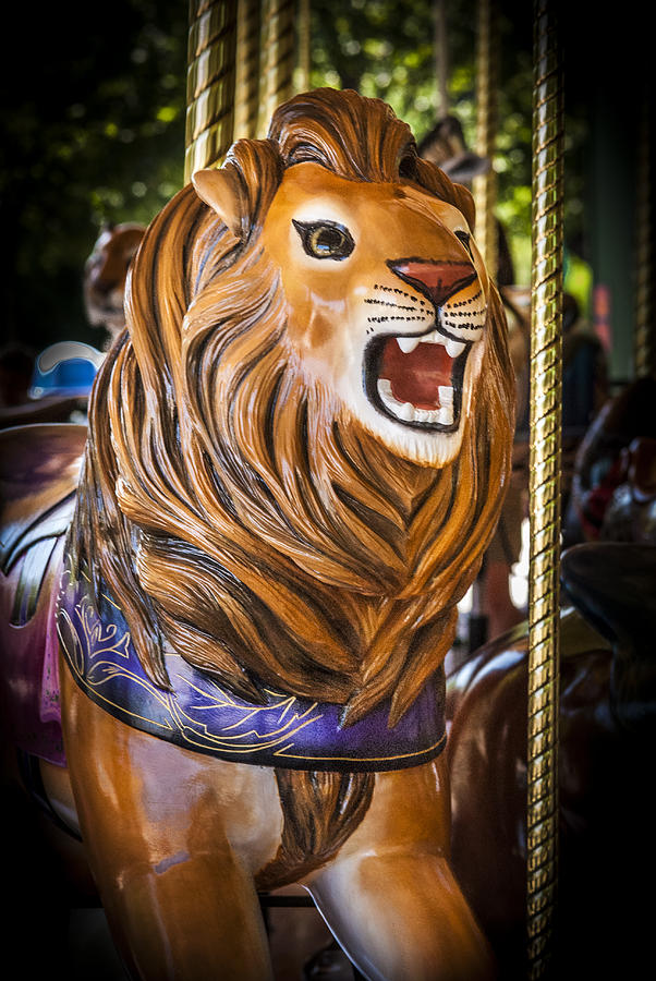 Carousel Lion Photograph by Roger Lapinski