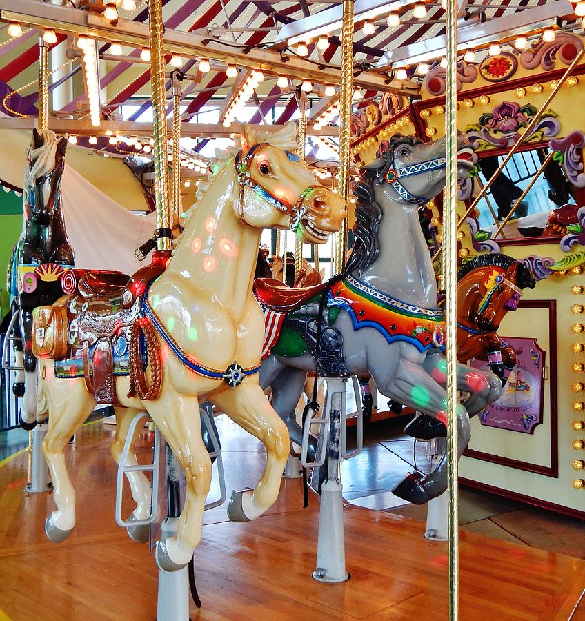 Carousel Pair Photograph by VLee Watson - Fine Art America