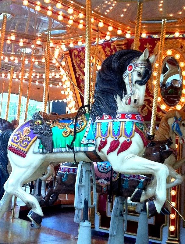 Carousel Photograph by Rebecca West - Pixels