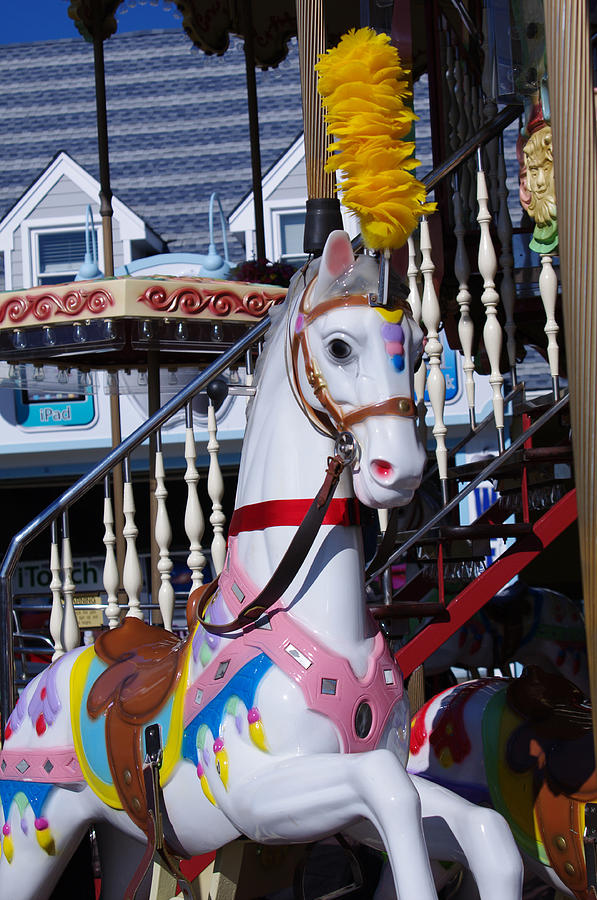 Carousel Steed Photograph by Greg Graham