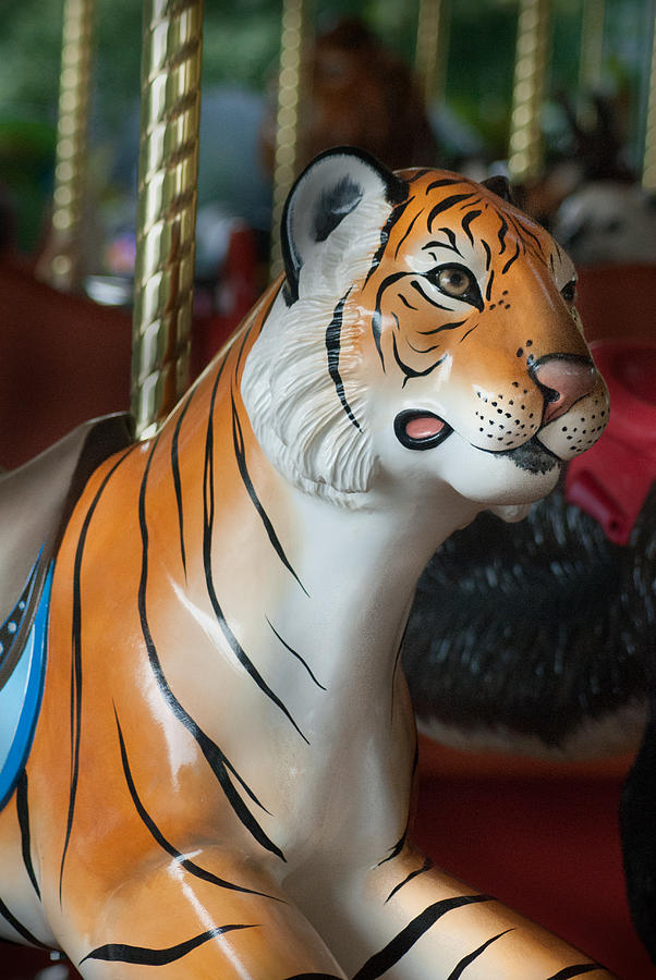 Carousel Tiger Photograph by Roger Lapinski