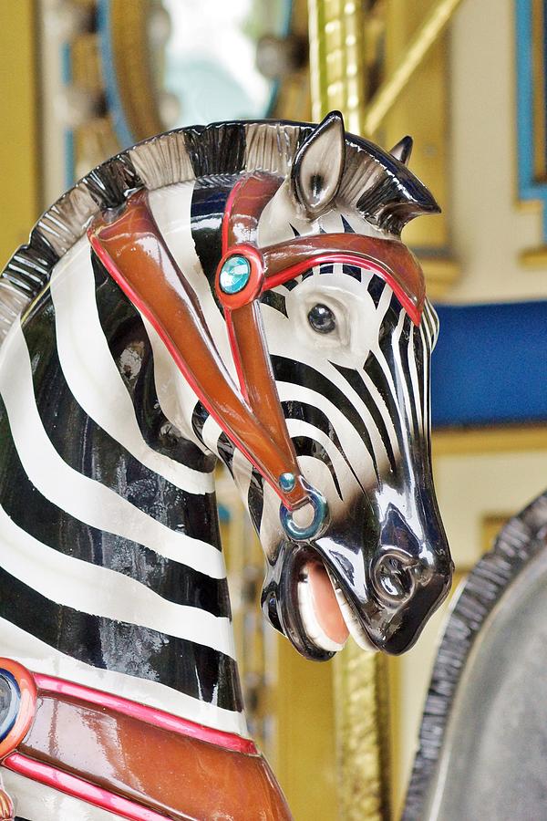 Carousel Zebra Photograph by Jean Goodwin Brooks