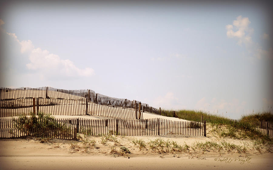 Carova Dune Fences Photograph by Paulette B Wright
