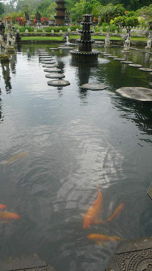 Bali Photograph - Carp pond Bali by Jack Edson Adams Bali Photograph - Carp pond Bali by Jack Edson Adams