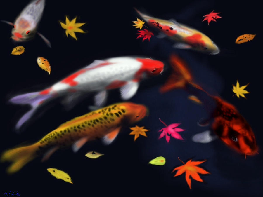 Fish Painting - Carp by Yoshiyuki Uchida