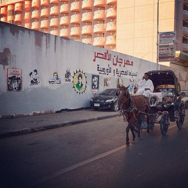 Scenery Photograph - Carriage, Luxor, Egypt by Go Takey