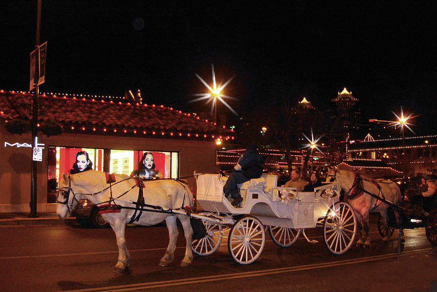 Carriage Ride at Christmas Photograph by Ellen Tully