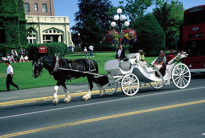 Carriage Ride Photograph by Dick Willis - Fine Art America