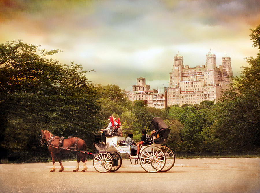 Nature Photograph - Carriage Ride in Central Park by Jessica Jenney
