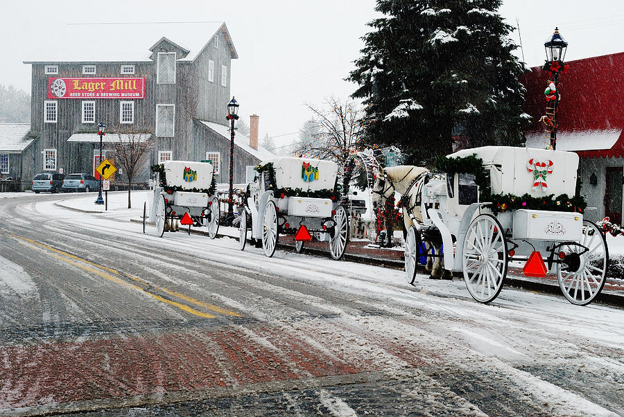 Winter Photograph - Carriage Ride by Janice Adomeit