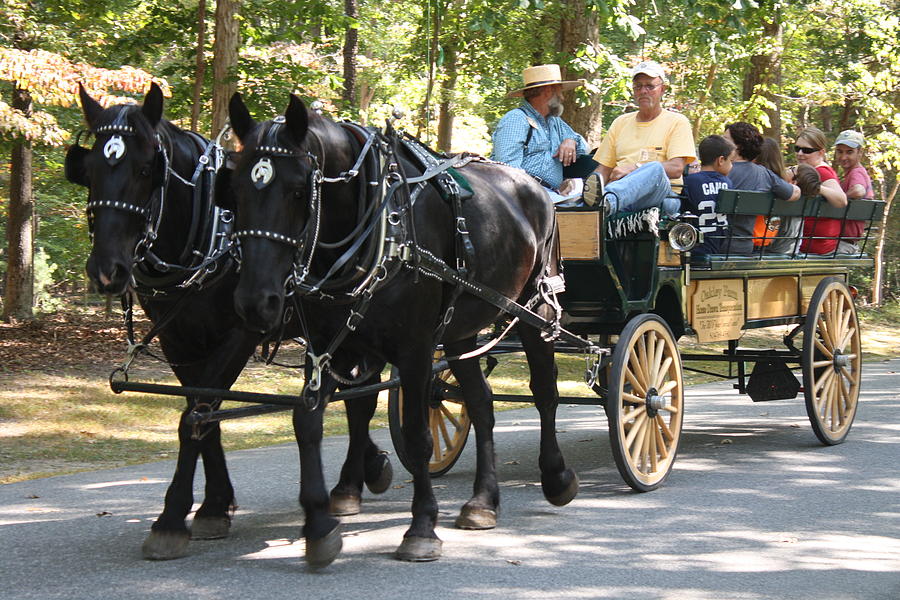 X6 Photograph - Carriage Rides by James Lawson