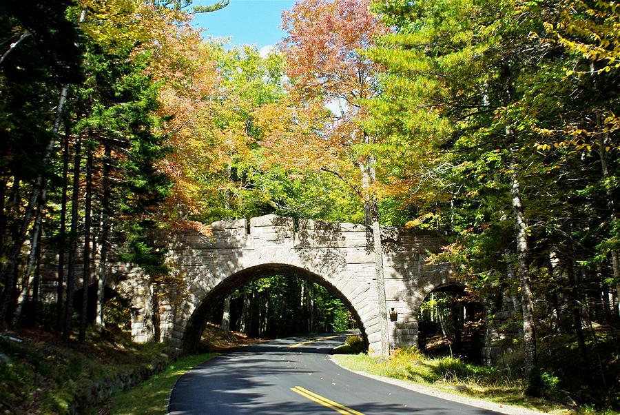 Carriage Road Bridge In Fall Anp Photograph By Lena Hatch