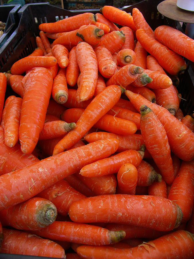 Carrots Photograph by Bonnie Sue Rauch